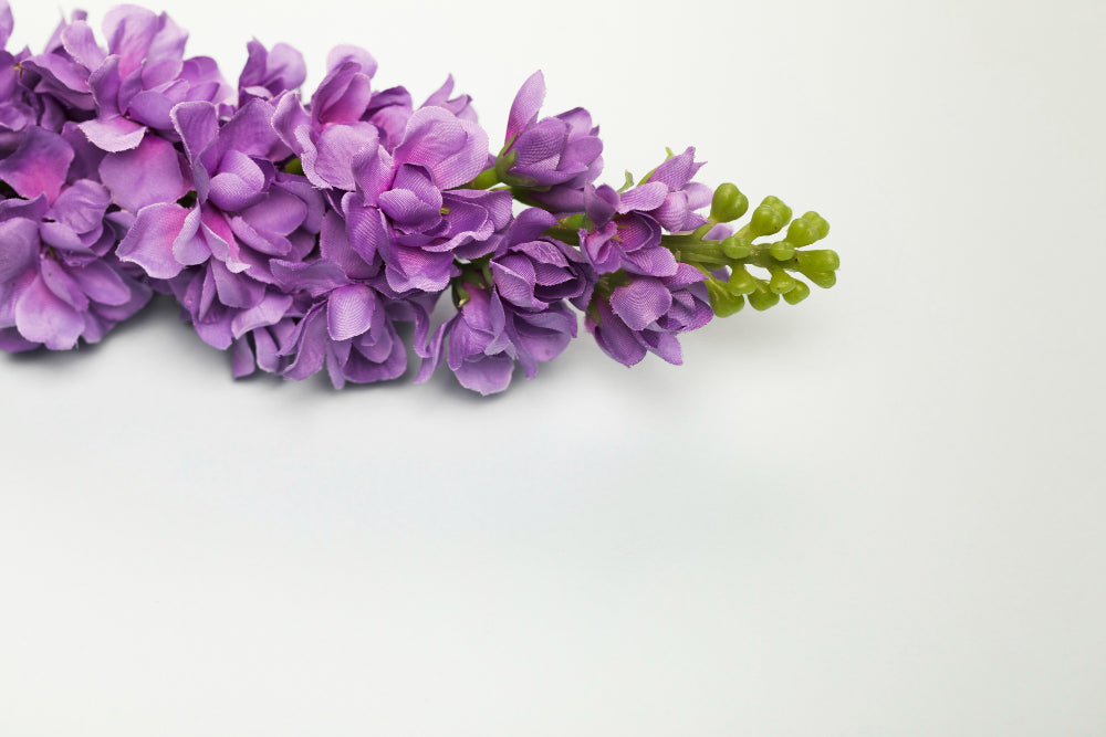 Retinolo vs Attivi Vegetali: Confronto e Alternative per una Pelle Perfetta