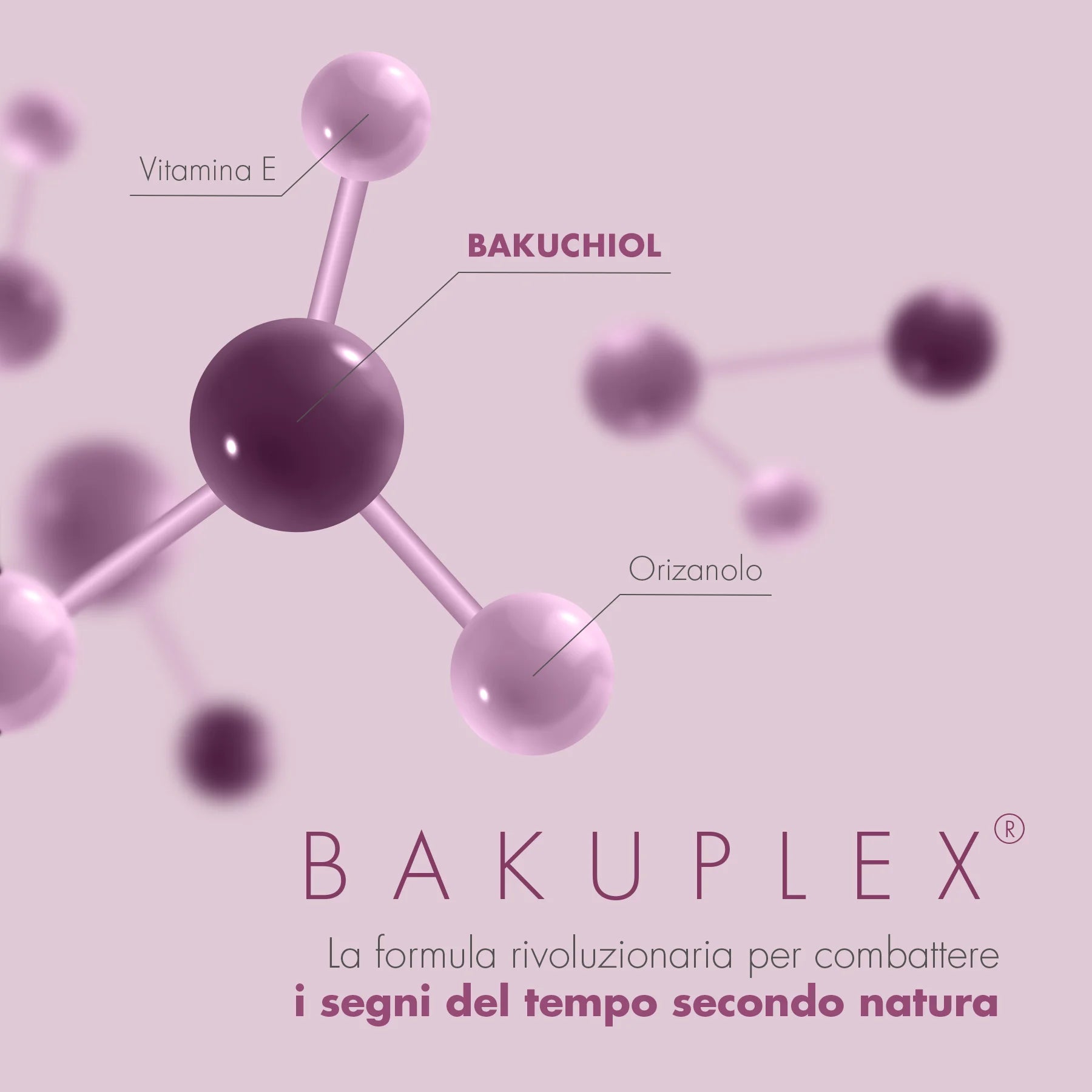 Bakuplex routine viso&corpo